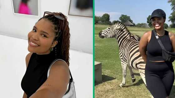 Young woman gets kicked by a zebra at a game park in a video, leaving SA amused