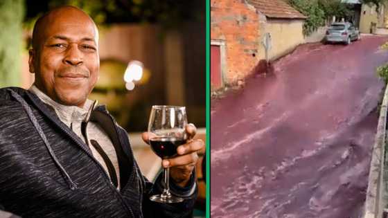 Mzansi wants in on free alcohol after Portuguese town flooded with wine after distillery disaster