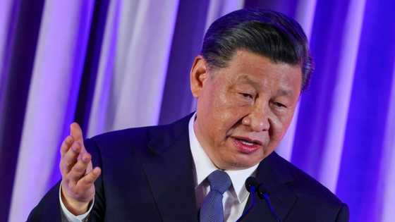 China ready to be 'partner and friend' of US: Xi