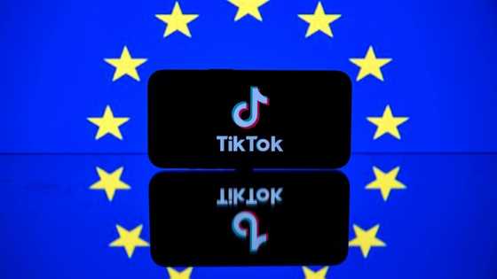 Meta, TikTok challenge incoming EU digital market law