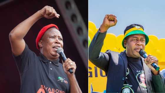 EFF's Julius Malema says voting against friend Mzwandile Masina in Ekurhuleni was "nothing personal"