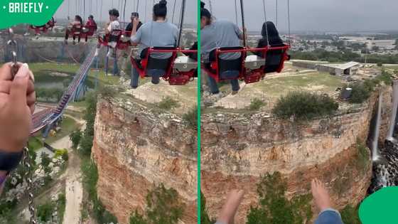 "I’d have a panic attack": Sky flight ride stops mid-air after guest pulls out phone
