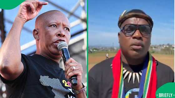 Ngizwe Mchunu attacks Julius Malema over Ekurhuleni killings and illegal immigration