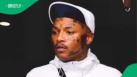 SA stunned as Shebeshxt is fully booked for the festive season: "That’s over R1M worth of gigs"