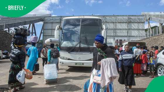 JMPD speaks to Briefly News about controversial Newlands bus which dropped Malawians off