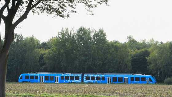 Whistle blows in Germany for world's first hydrogen train fleet