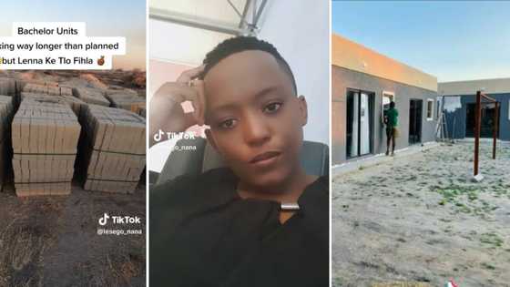 Hardworking woman flexes impressive bachelor units she built, South Africans commend her on job well done