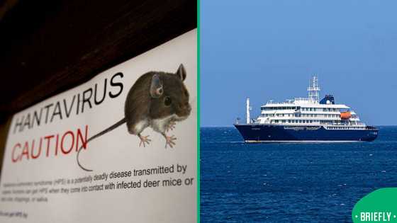 Global virus scare lands in SA: British tourist in ICU after cruise outbreak