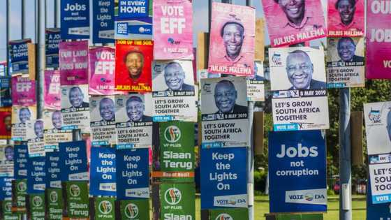 Political parties have 2 weeks to remove posters in Joburg, City threatens with R1000 fine per poster
