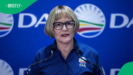"Hate how good this campaign is": Helen Zille waits to get arrested amid Joburg mayor campaign in TikTok video