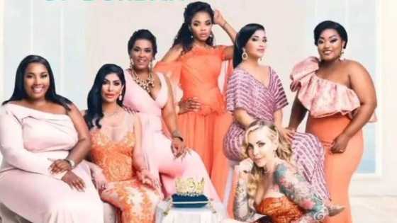 Americans roast the cast of 'The Real Housewives of Durban' after show went international, SA drops spoilers