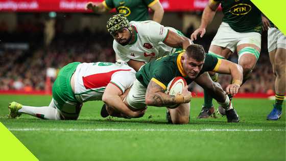 Springboks crush Wales 45-12 in Cardiff to end 2024 in style