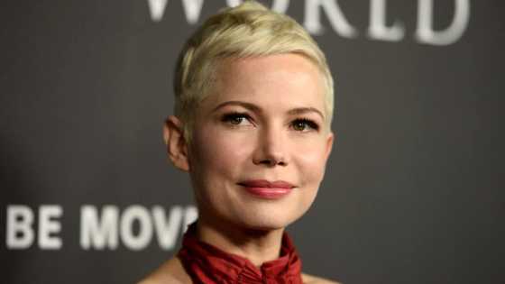 Michelle Williams's net worth, age, children, height, movies and TV shows, profiles