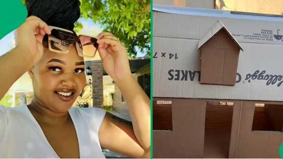 SA woman showcases journey of creating stunning cardboard dollhouses in a video