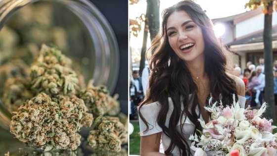 Bride and caterer arrested for lacing food with cannabis, serving unsuspecting guests, SA reacts hilariously