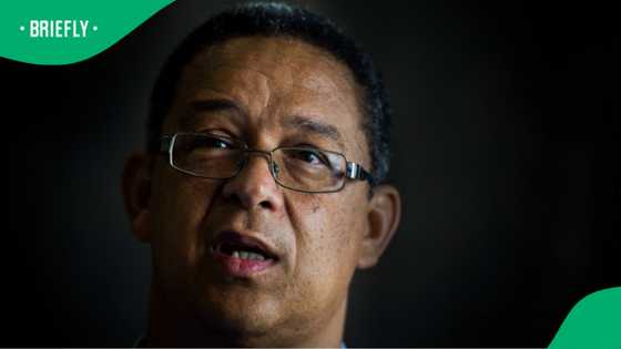Ad Hoc Committee: Robert McBride Questions General Nhlanhla Mkhwanazi regarding murder case