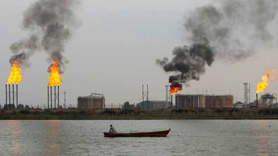 New carbon accounting rules target 'greenwashing'