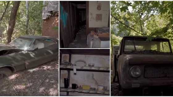 Man discovers old abandoned mansion with cars graveyard, oven & refrigerator, shares video of its interior