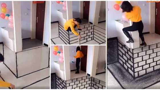Talented artist paints fake pit inside a room, takes a lady by surprise in video