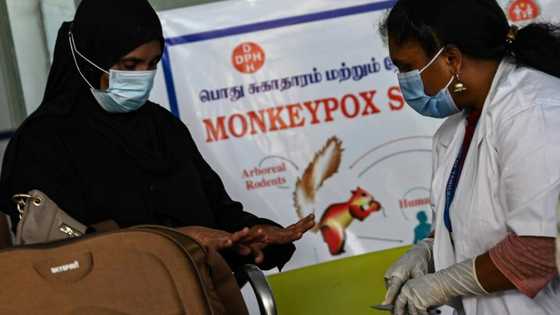 European festivals should not be scrapped due to monkeypox: WHO