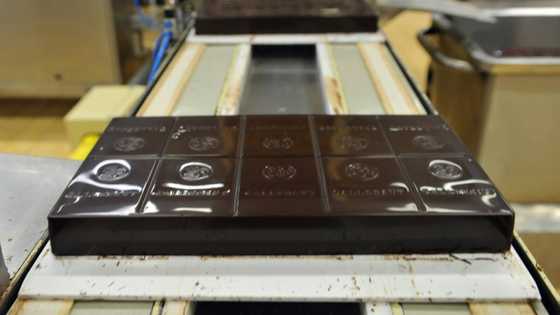 Barry Callebaut wants to tap into vegan power, Asia growth