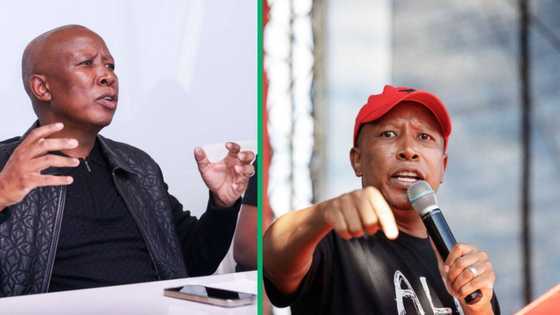 Coloured community will no longer be marginalised and sidelined, says Julius Malema