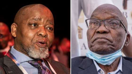 Mantashe shades Zuma's chairperson bid, says Zuma won't be chair unless he is nominated