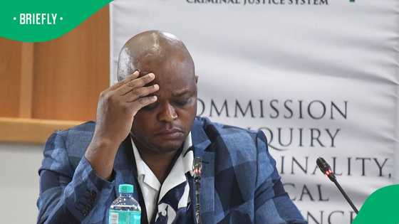 Madlanga Commission: Evidence leader accuses Brown Mogotsi of lying