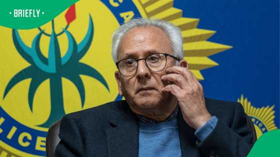 Acting Police Minister Cachalia blames weak schools and unemployment for gun violence in Cape Town