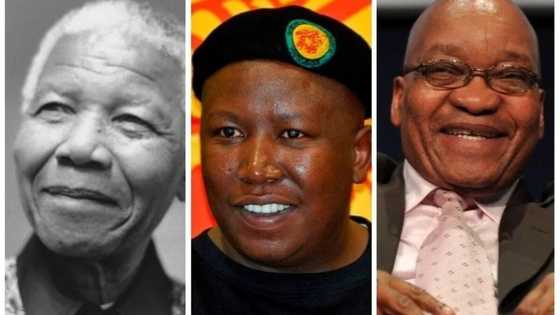 They have baby mamas: South African politicians who had children out of wedlock