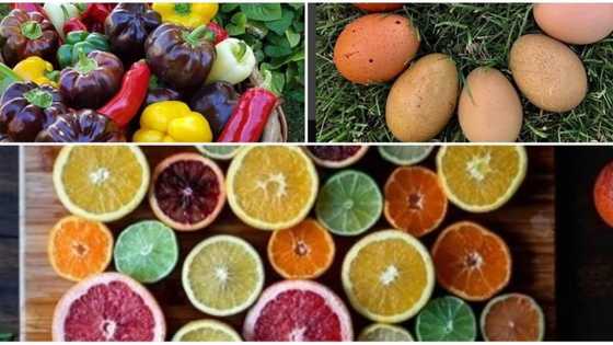 5 cheap recipes with VAT-free products to make your family happy