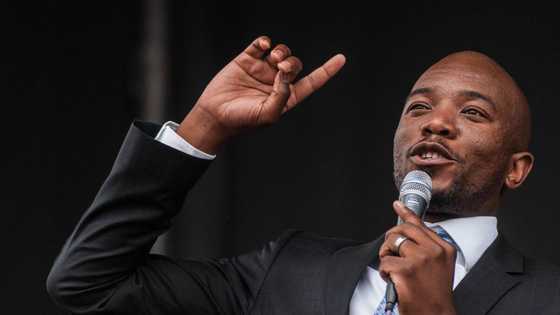 Mmusi Maimane roasts etv for airing ‘Anaconda’, peeps live for his boldness