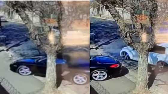 Video shows moments before tobacco boss shot in assassination attempt