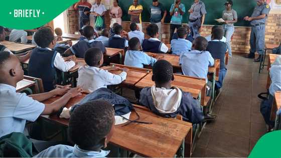 North West Education MEC ordered to pay R2.8 million after child stabbed in eye at school