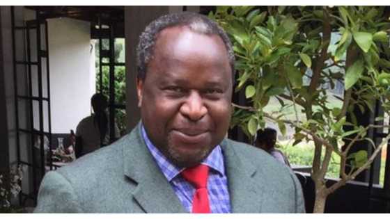 Tito Mboweni: the money guy with all the solutions to South Africa's money problems