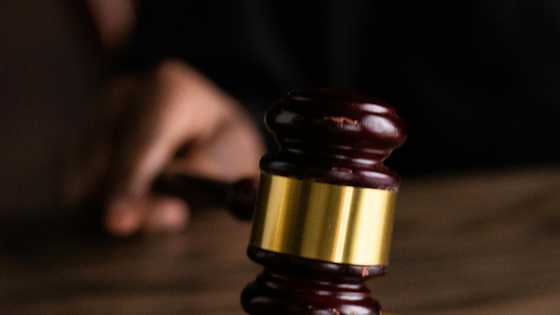 My daughter-in-law demanded full custody after 10 years—one grandson brought the judge near tears