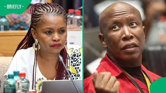 Ad Hoc Committee: Julius Malema and Khusela Diko clash over Julius Mkhwanazi testifying