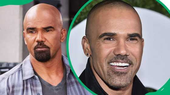 Shemar Moore’s ethnicity, height, family, career, profiles and net worth