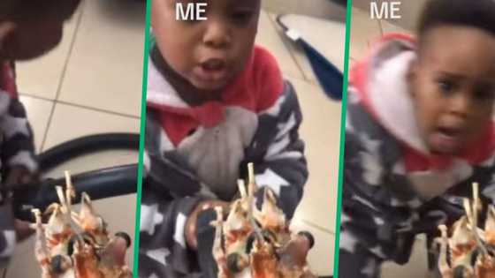 Child’s hilarious reaction to lobster prank is a hit on TikTok, video gets 1.4M views