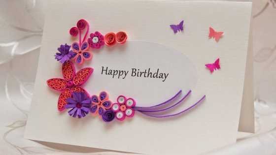 Collection of the best happy birthday cousin messages, wishes, and quotes