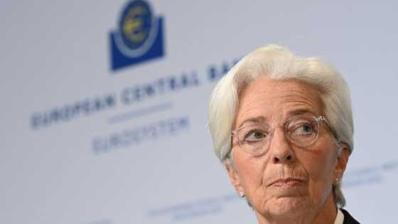 ECB opts for smaller rate hike but inflation still 'far too high'