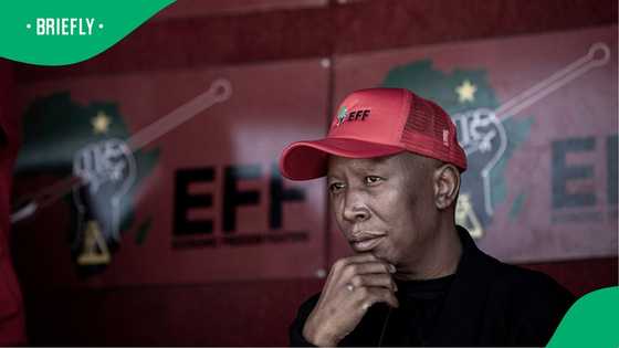 Julius Malema slams National Dialogue, SA divided as EFF leader says citizens need services instead