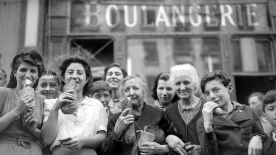 Let them eat bread: the origins of the baguette