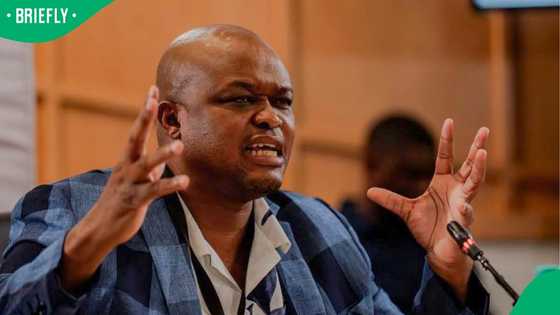 Brown Mogotsi to testify before Ad Hoc Committee as Paul O’Sullivan's return also confirmed