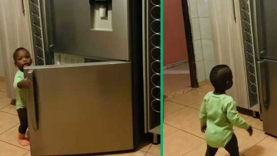 Toddler vs food comedy: hilarious video shows parent locking fridge to thwart tot's mischief