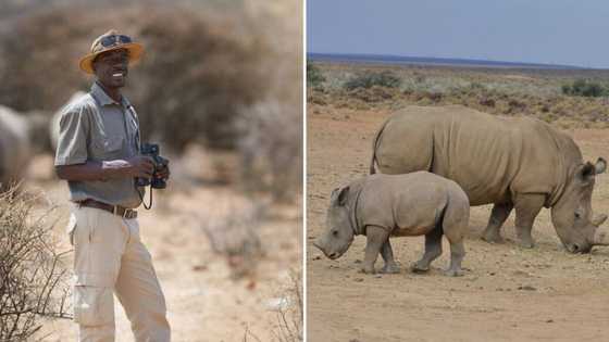 SANParks to implement polygraph testing policy for game rangers, SA reacts: "Lie detector can be beaten"