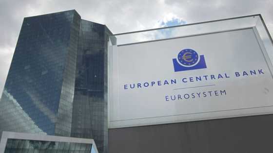 ECB to match historic inflation with bumper rate hike