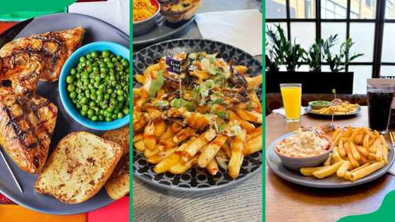 Nando's menu and prices in South Africa for 2025: Updated guide