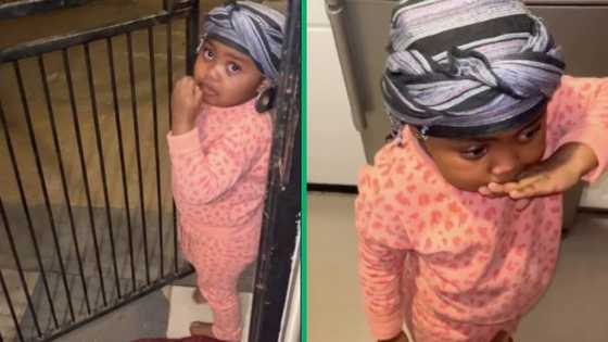 TikTok video of Johannesburg mom's tantrum-solving hack for toddler goes viral, Mzansi thanks her for the plug
