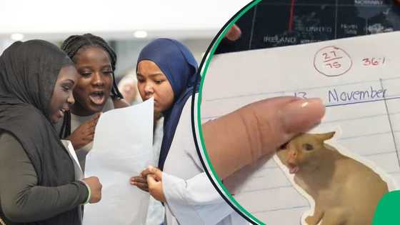 "Can I have my degree? I want to do this so bad": SA floored by teacher's goofy marking in viral TikTok video